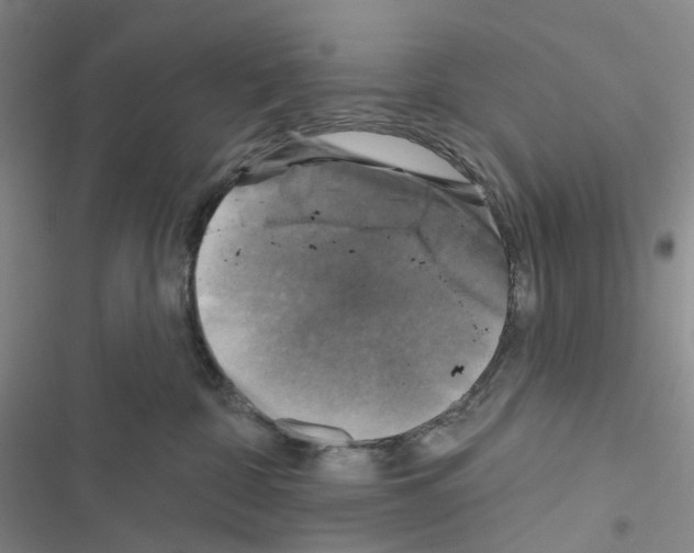 X0000116490332201001201408