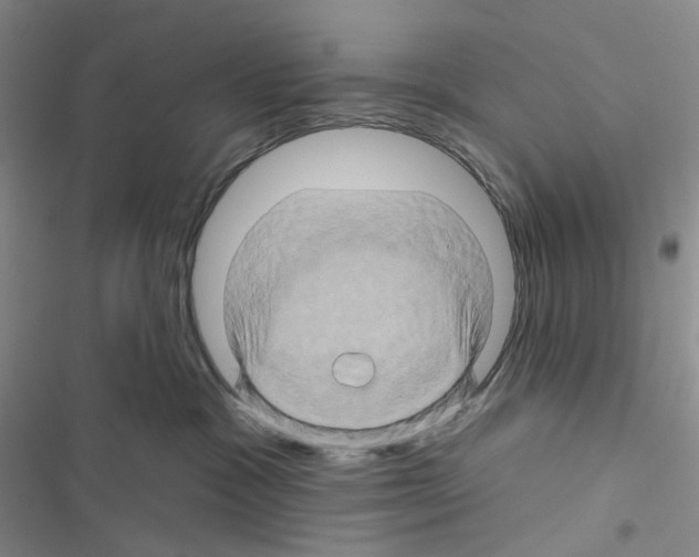 X0000116490333201001201408