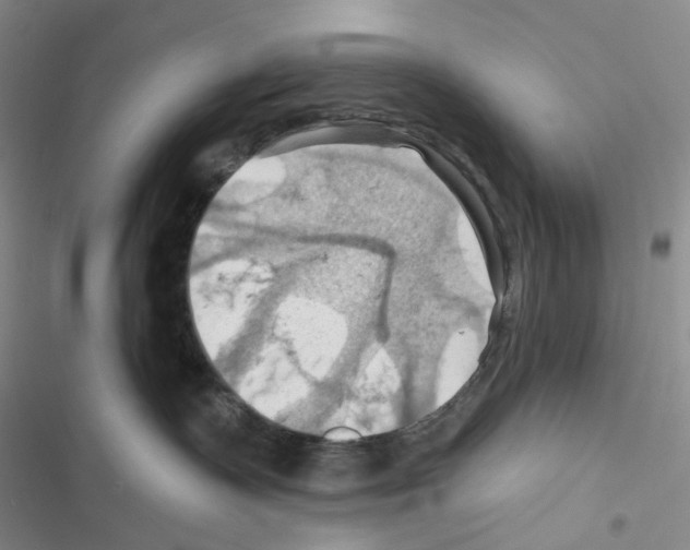 X0000116490335201001201408