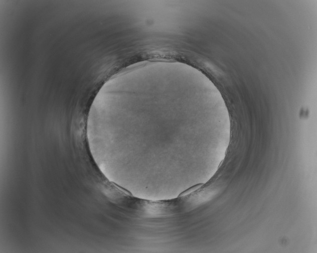 X0000116490336201001201408