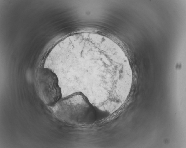 X0000116490337201001201408