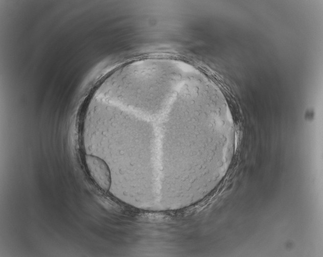 X0000116490339201001201408