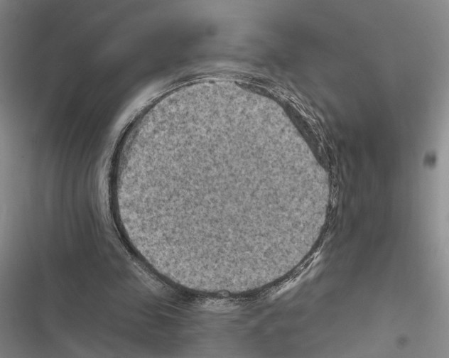 X0000116490341201001201408