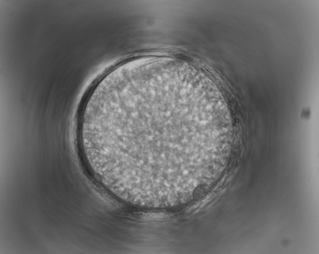 X0000116490342201001201408