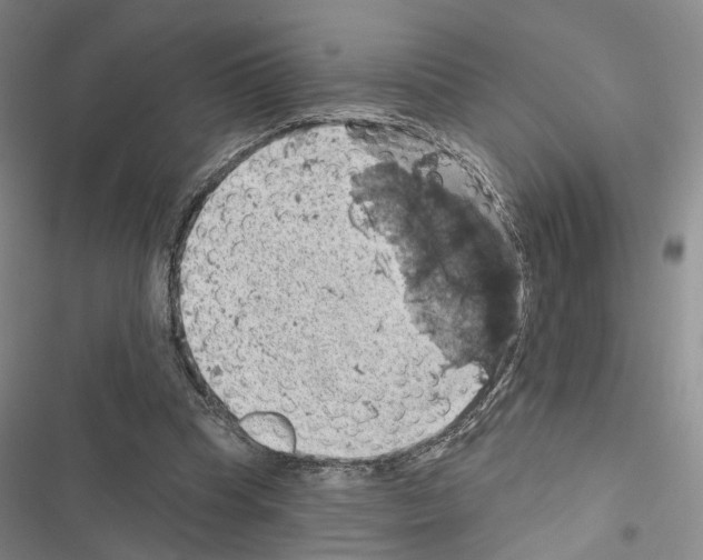 X0000116490345201001201408