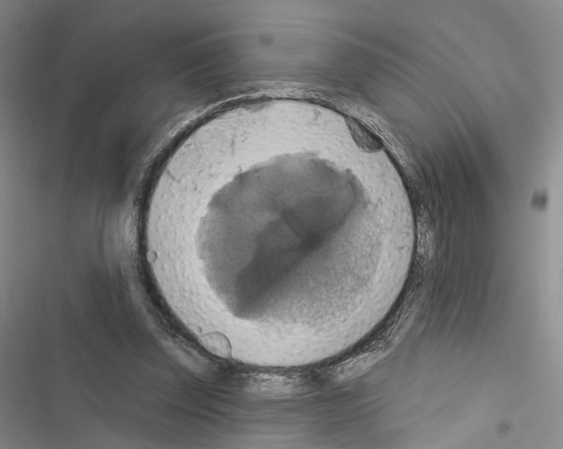 X0000116490347201001201408