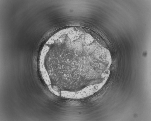 X0000116490349201001201408