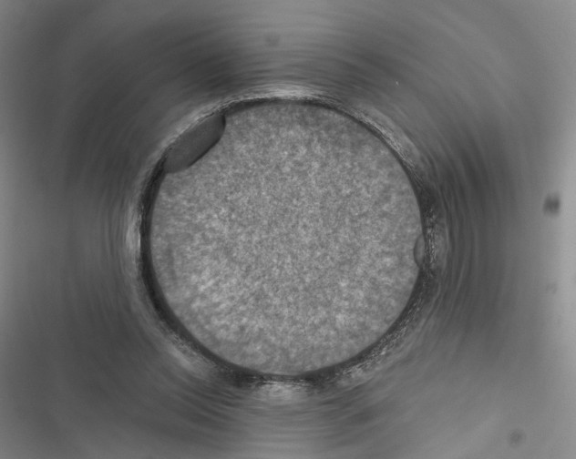 X0000116490350201001201408