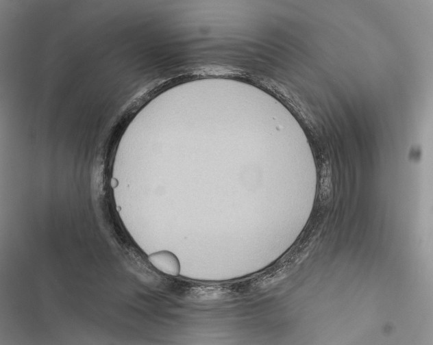 X0000116490351201001201408