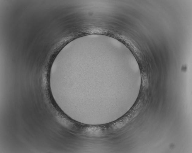 X0000116490353201001201408