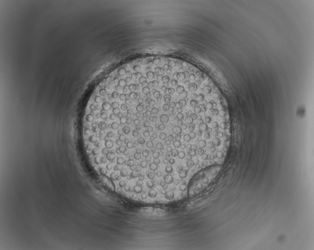 X0000116490354201001201408