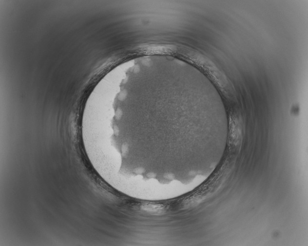 X0000116490357201001201408