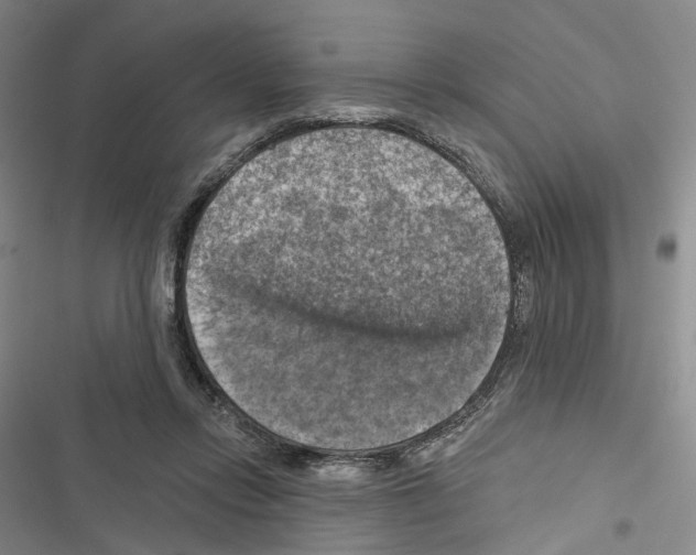 X0000116490358201001201408