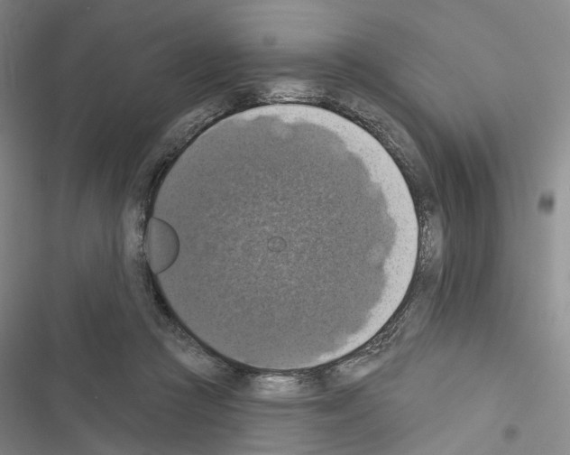 X0000116490361201001201408