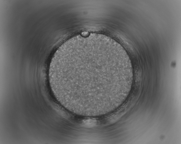 X0000116490362201001201408