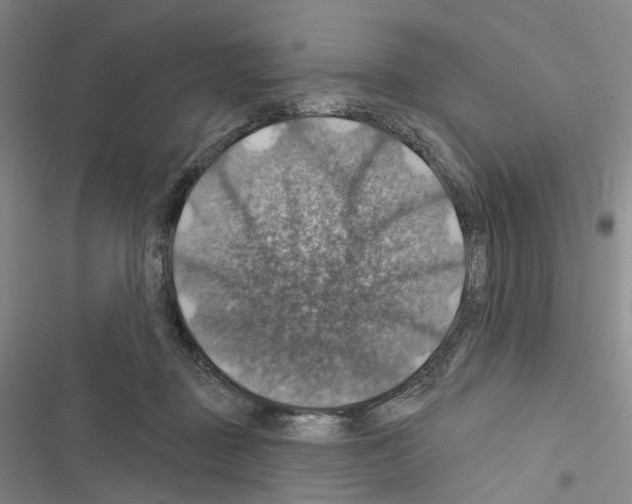 X0000116490363201001201408