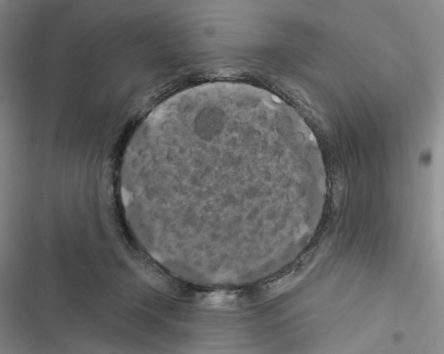 X0000116490366201001201408