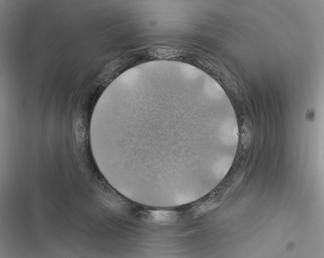 X0000116490371201001201408