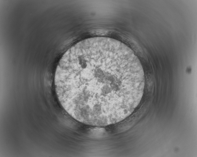 X0000116490374201001201408