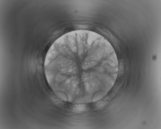 X0000116490377201001201408