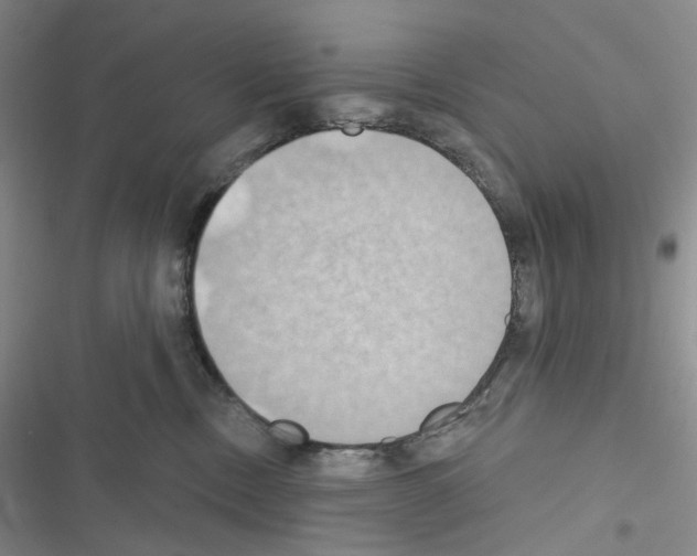 X0000116490378201001201408