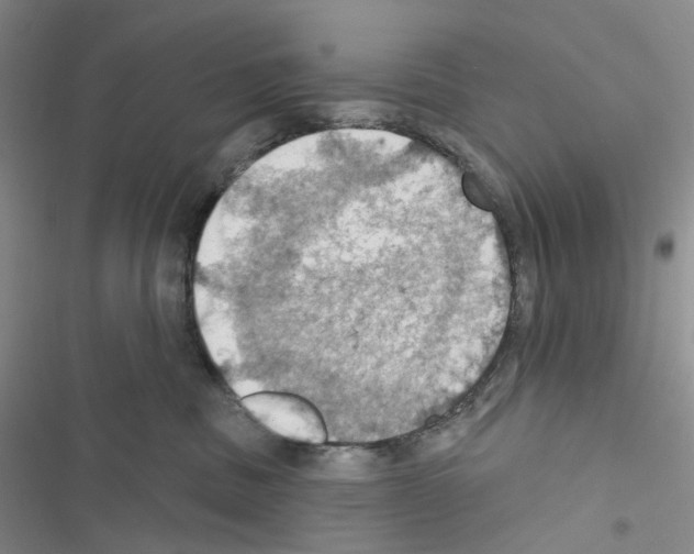 X0000116490379201001201408