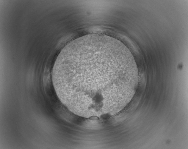 X0000116490381201001201408