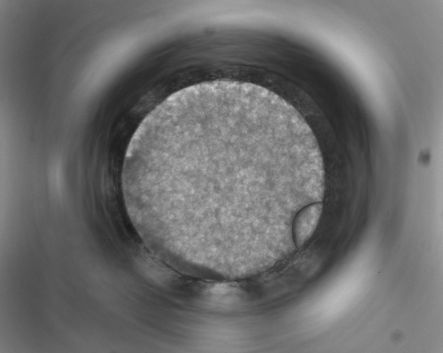 X0000116490382201001201408