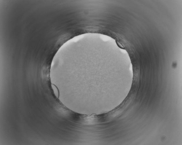 X0000116490383201001201408