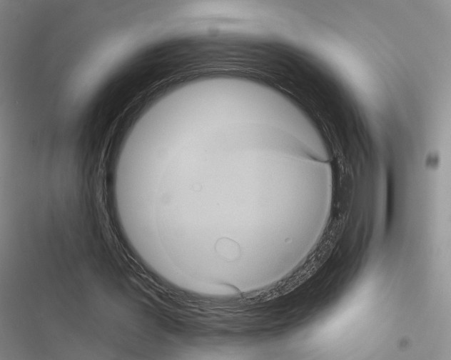 X0000116490387201001201408