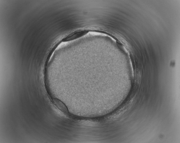 X0000116490389201001201408