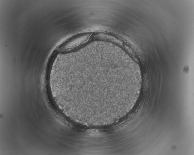 X0000116490392201001201407