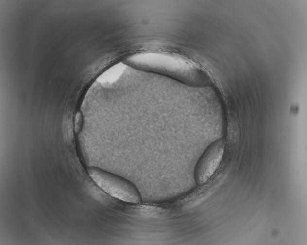 X0000116490393201001201407