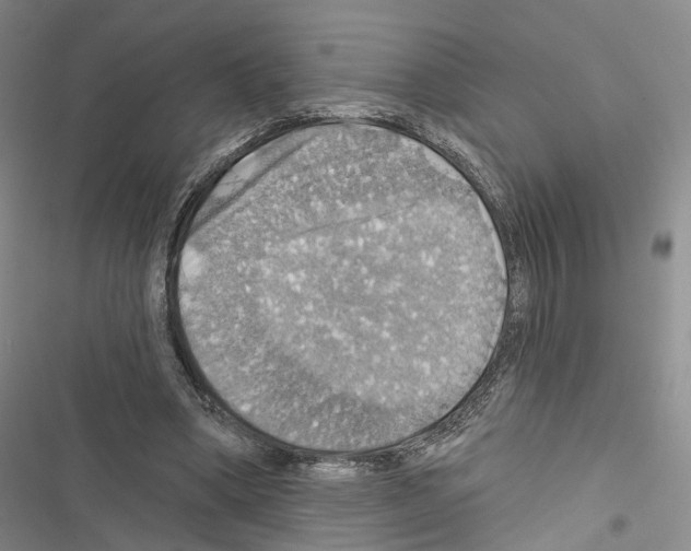 X0000116490394201001201407