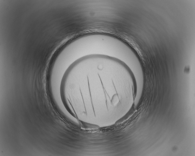 X0000116490395201001201407