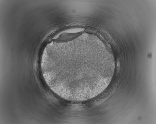 X0000116490396201001201407