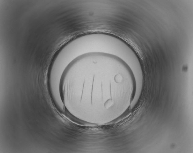 X0000116490397201001201407