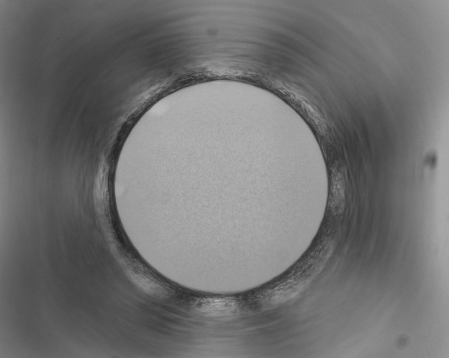 X0000116490398201001201407