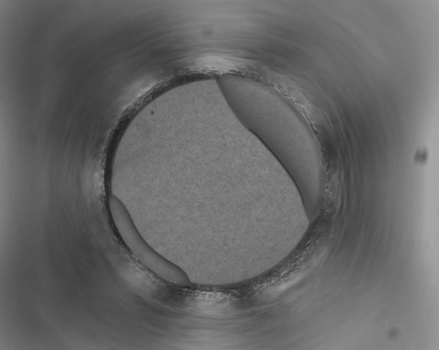 X0000116490399201001201407