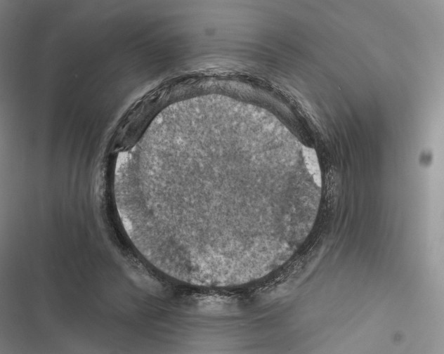 X0000116490400201001201407