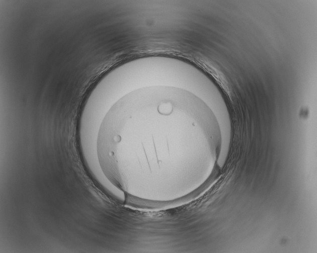 X0000116490401201001201407