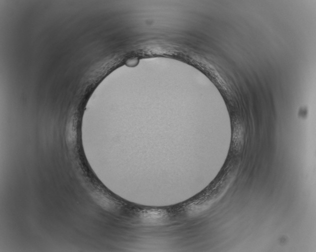 X0000116490402201001201407