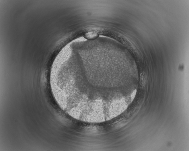 X0000116490404201001201407