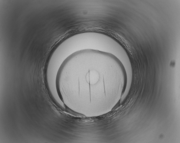 X0000116490405201001201407