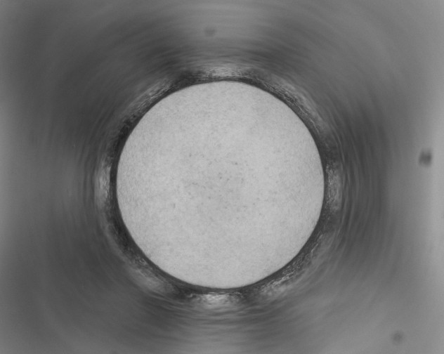 X0000116490406201001201407