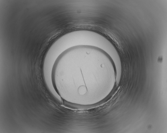 X0000116490407201001201407