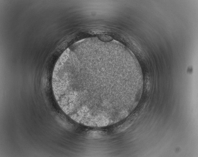 X0000116490408201001201407