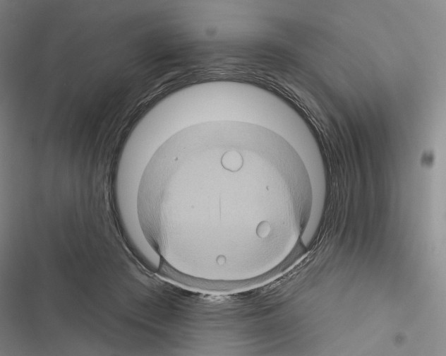 X0000116490409201001201407