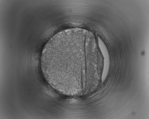 X0000116490412201001201407