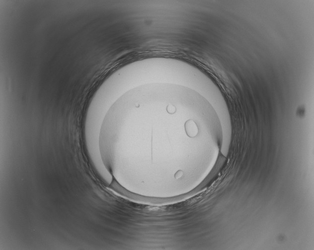 X0000116490413201001201407